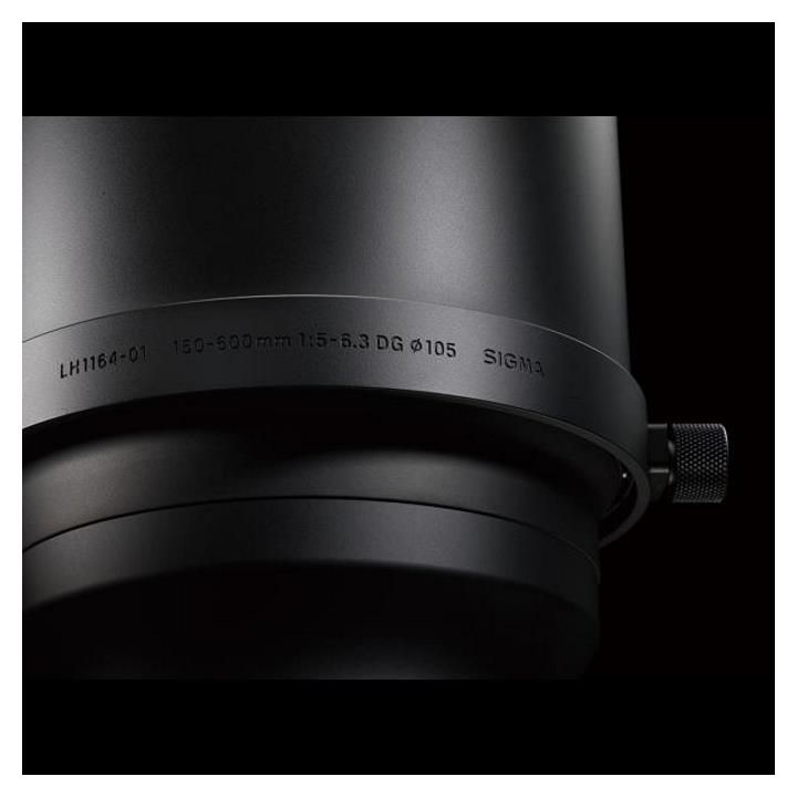 Sigma 150-600mm f/5-6.3 Sports Lens Kit + TC-1401 Nikon