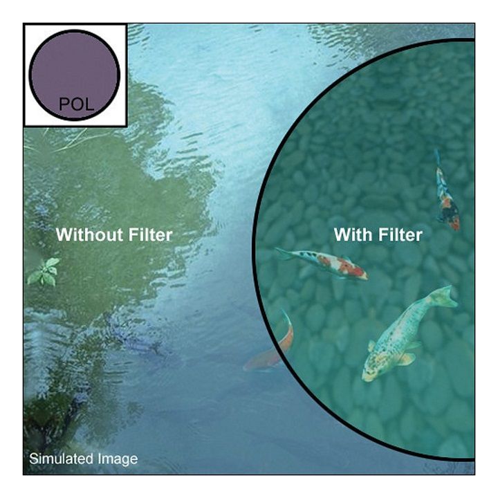 Hoya 49mm Polarising Filter